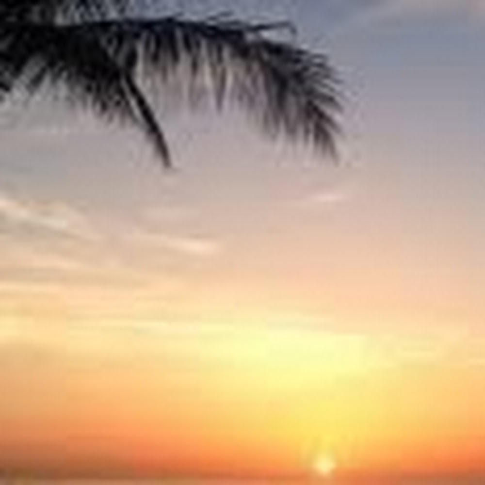 Meet your Posher, Abigail